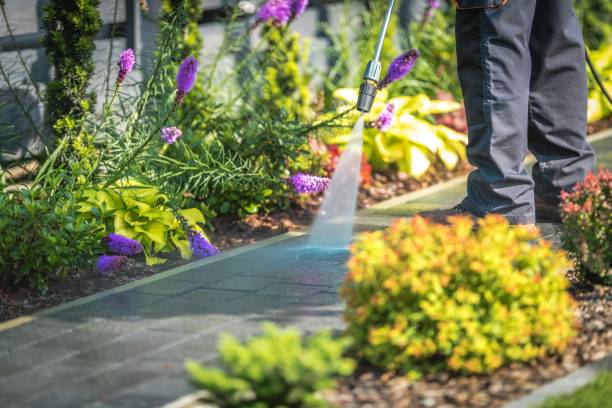 Best Residential Pressure Washing in Honea Path, SC